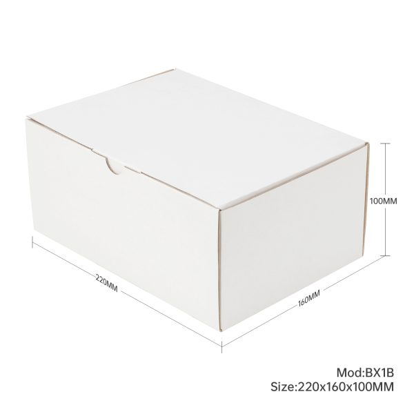 100pcs 220 x 160 x 100mm Diecut Mailing Box White