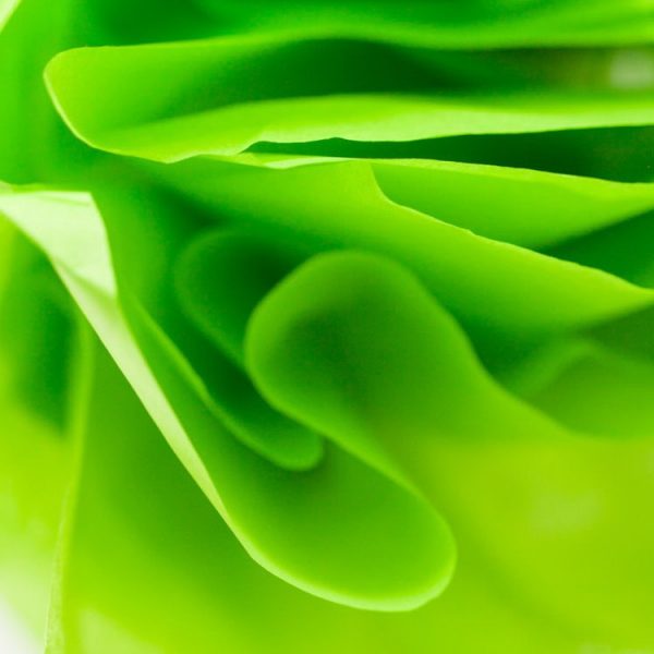 500 Sheets Acid Free Tissue Paper 500x750mm 17gsm Citrus Green