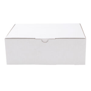 100pcs Full White 220x 160 x 77mm Diecut Mailing Box