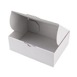 1000ML Rectangle Plastic Takeaway Food Container 500/Carton