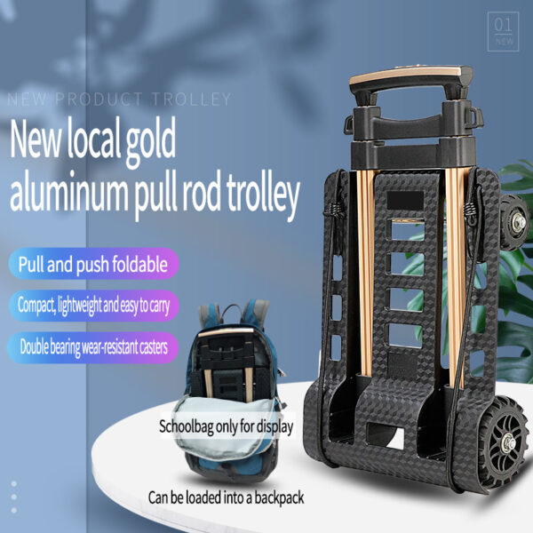 50KG Load Capacity Platform Folding Hand Trolley BLACK