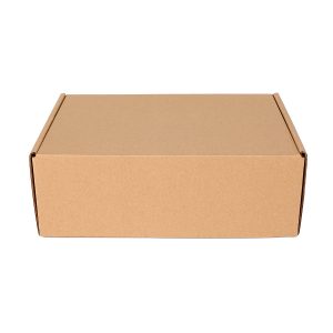 220x160x77mm Tuck Top Die-cut Mailing Box Kraft 100pcs