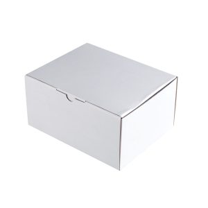 Die-Cut White Mailing Box 240x190x120mm 100pcs/Carton Die-Cut White Mailing Box 240x190x120mm 100pcs/Carton